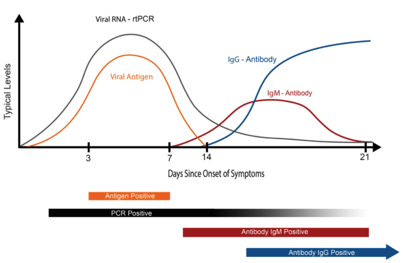 Chart showing COVID-19 Testing: Viral Levels vs. Onset of Symptoms